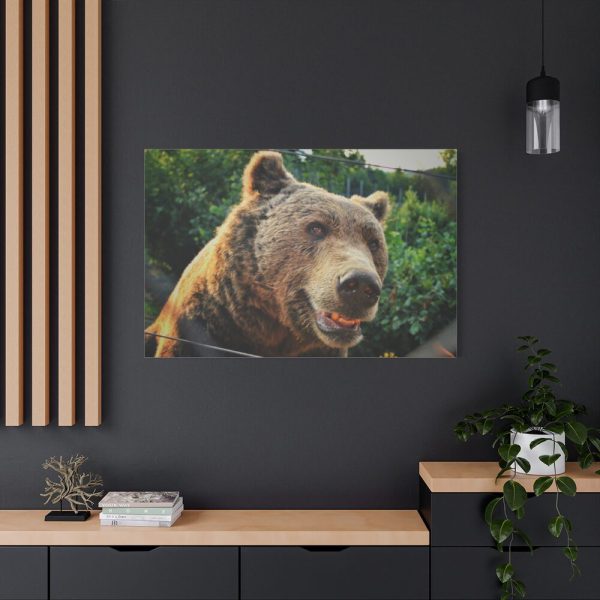 Grizzly Bear Snout Standard Canvas
