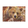 91638-661.jpg Fractal Bear Standard Canvas