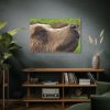 European Brown Bear Close up Standard Canvas
