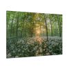 91638-670.jpg Forest at Sunset with Bear's Garlic Standard Canvas