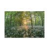 91638-671.jpg Forest at Sunset with Bear's Garlic Standard Canvas