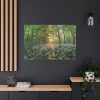 91638-673.jpg Forest at Sunset with Bear's Garlic Standard Canvas