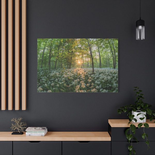 91638-673.jpg Forest at Sunset with Bear's Garlic Standard Canvas