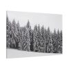 91638-685.jpg Snow Covered Trees in Forest Standard Canvas