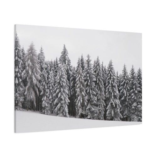91638-685.jpg Snow Covered Trees in Forest Standard Canvas