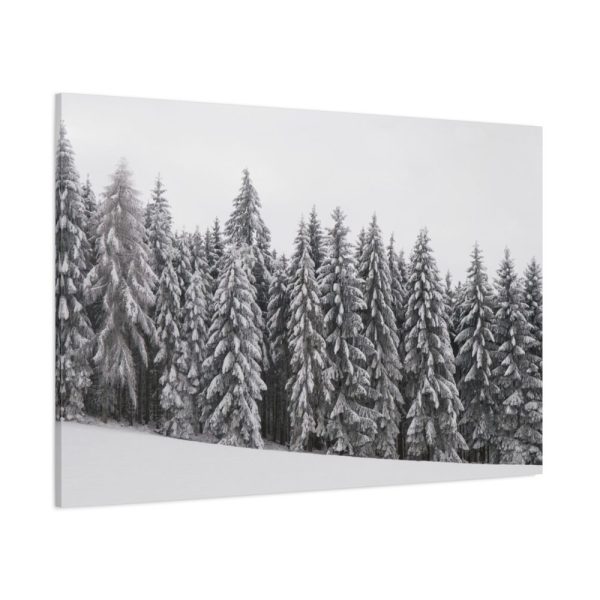 91638-685.jpg Snow Covered Trees in Forest Standard Canvas
