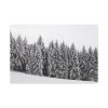 91638-686.jpg Snow Covered Trees in Forest Standard Canvas