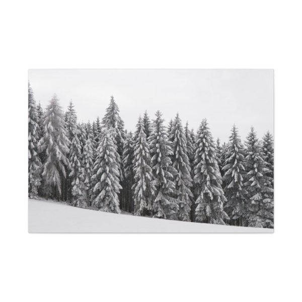 91638-686.jpg Snow Covered Trees in Forest Standard Canvas