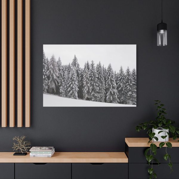 91638-688.jpg Snow Covered Trees in Forest Standard Canvas