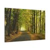 91638-690.jpg Beautiful Autumn forest Standard Canvas