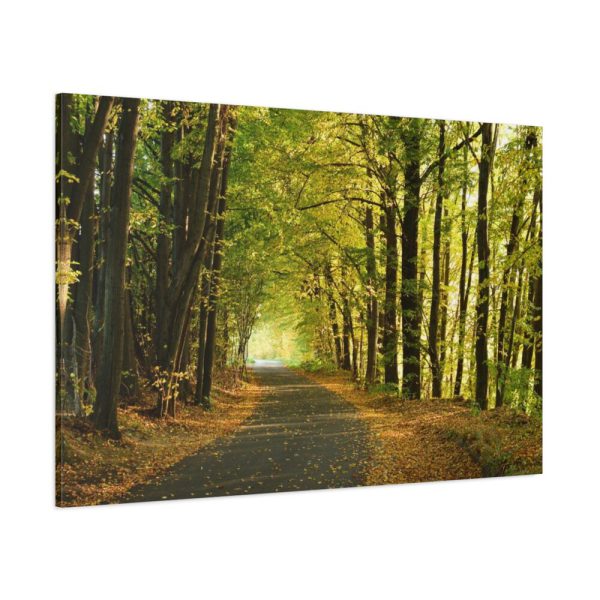 91638-690.jpg Beautiful Autumn forest Standard Canvas