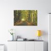 91638-692.jpg Beautiful Autumn forest Standard Canvas