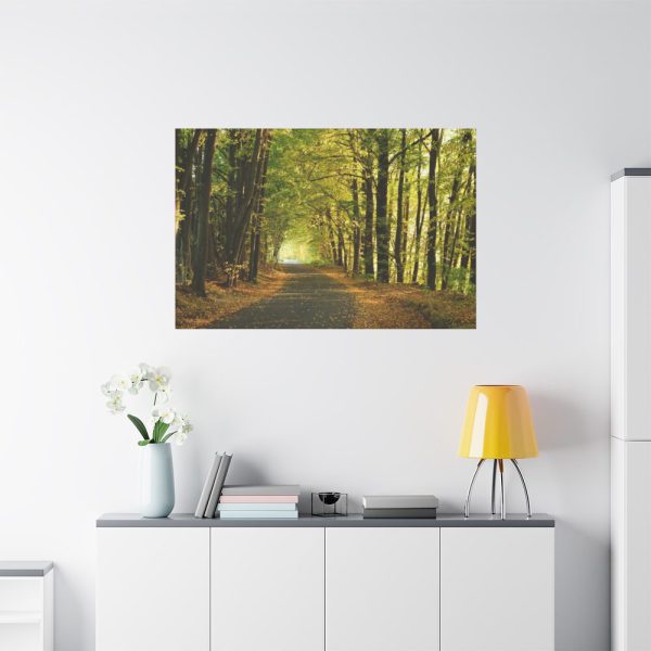 91638-692.jpg Beautiful Autumn forest Standard Canvas
