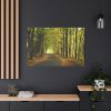 91638-693.jpg Beautiful Autumn forest Standard Canvas