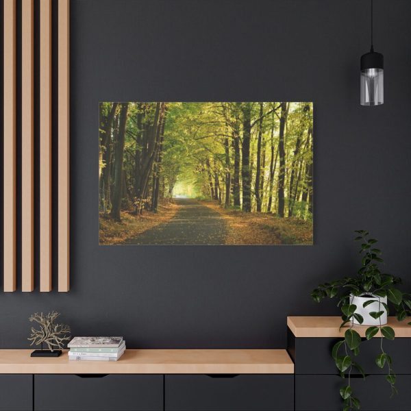 91638-693.jpg Beautiful Autumn forest Standard Canvas