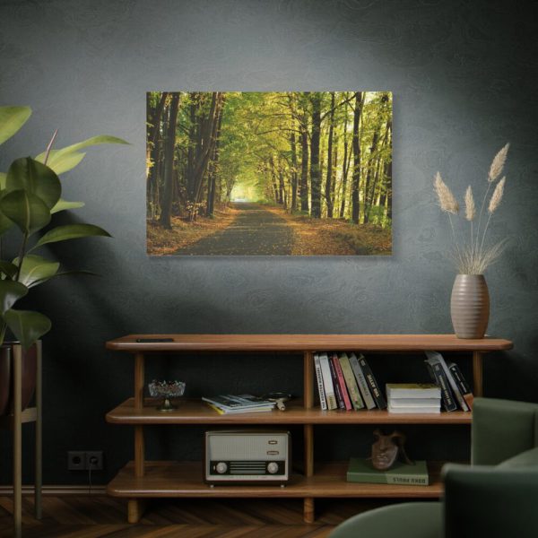 91638-694.jpg Beautiful Autumn forest Standard Canvas