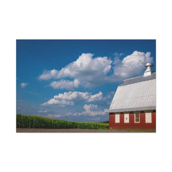 91638-77.jpg Cornfield and Red Barn Scenic Standard Canvas