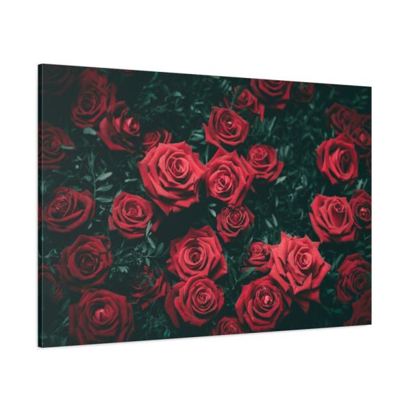 91638-84.jpg Bunch of Red Roses Standard Canvas