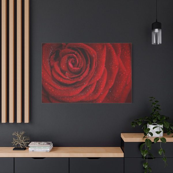 91638-91.jpg Red Rose Standard Canvas