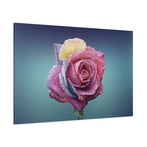 91638-92.jpg Multicolorful Rose Standard Canvas