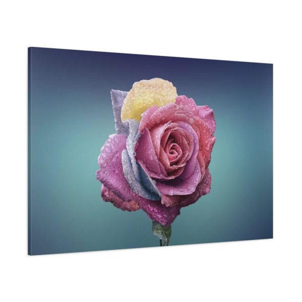 91638-92.jpg Multicolorful Rose Standard Canvas