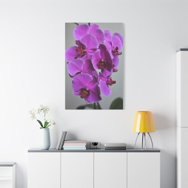 Purple Orchid Standard Canvas