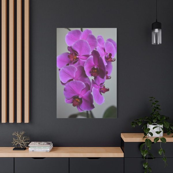 Purple Orchid Standard Canvas