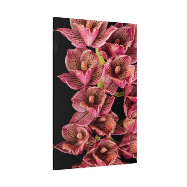 91655-108.jpg Catasetum Orchidglade Standard Canvas