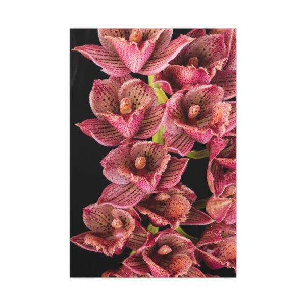 91655-109.jpg Catasetum Orchidglade Standard Canvas
