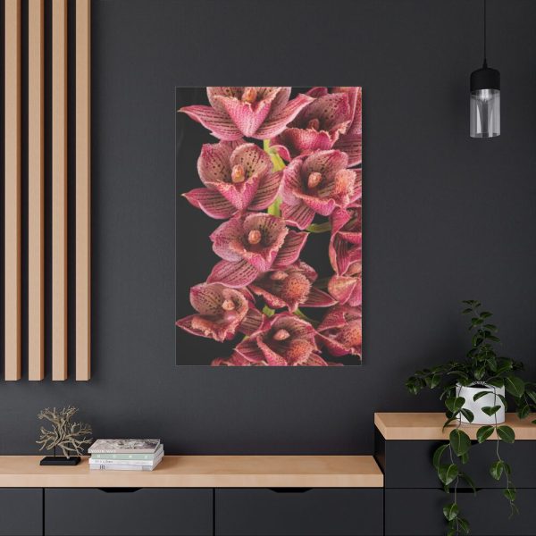 91655-111.jpg Catasetum Orchidglade Standard Canvas