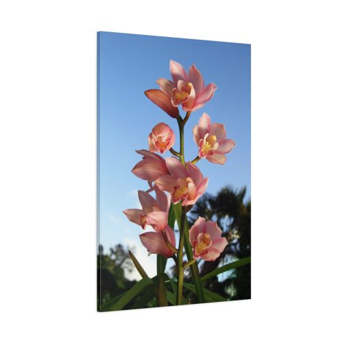 91655-113.jpg Pink Orchid Flowers Standard Canvas