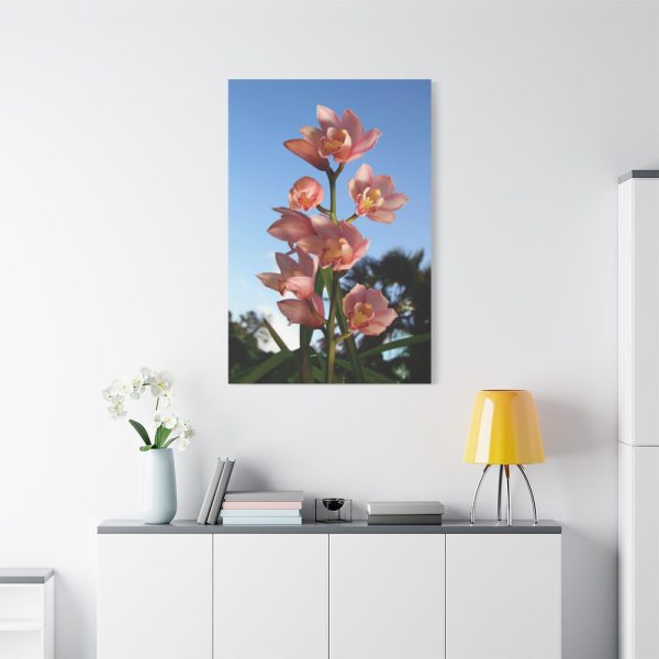 91655-115.jpg Pink Orchid Flowers Standard Canvas