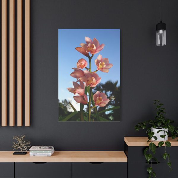 91655-116.jpg Pink Orchid Flowers Standard Canvas