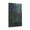 91655-123.jpg A Small Clearing in a Lush Forest Standard Canvas