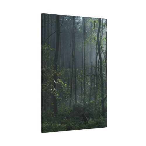 A Small Clearing in a Lush Forest Standard Canvas