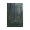 91655-124.jpg A Small Clearing in a Lush Forest Standard Canvas