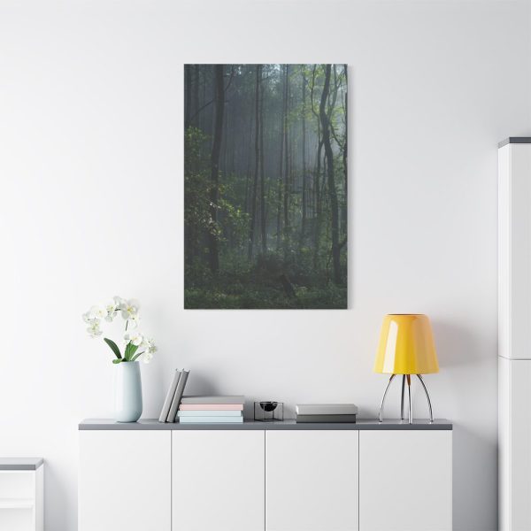 91655-125.jpg A Small Clearing in a Lush Forest Standard Canvas