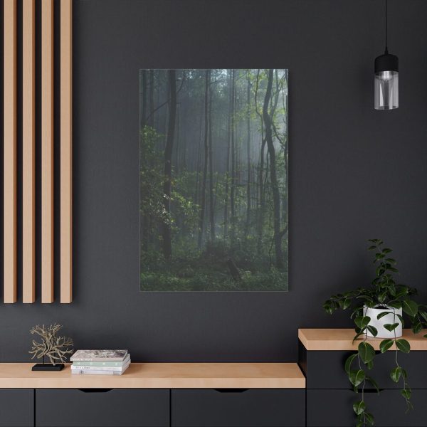 91655-126.jpg A Small Clearing in a Lush Forest Standard Canvas