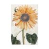 91655-17.jpg Sunflower by Johan Teyler Standard Canvas
