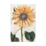 Sunflower  by Johan Teyler Standard Canvas - Image 2