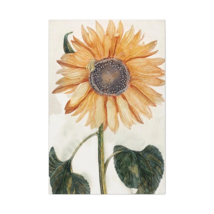Sunflower  by Johan Teyler Standard Canvas - Image 2