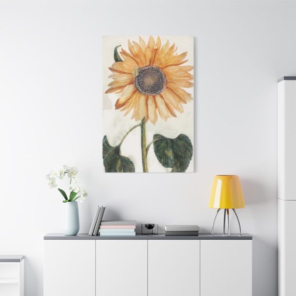 91655-18.jpg Sunflower by Johan Teyler Standard Canvas