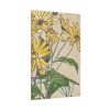 91655-20.jpg Sunflowers by Hannah Borger Overbeck Standard Canvas