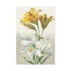 Yellow and White Lilies by William van Leen Standard Canvas