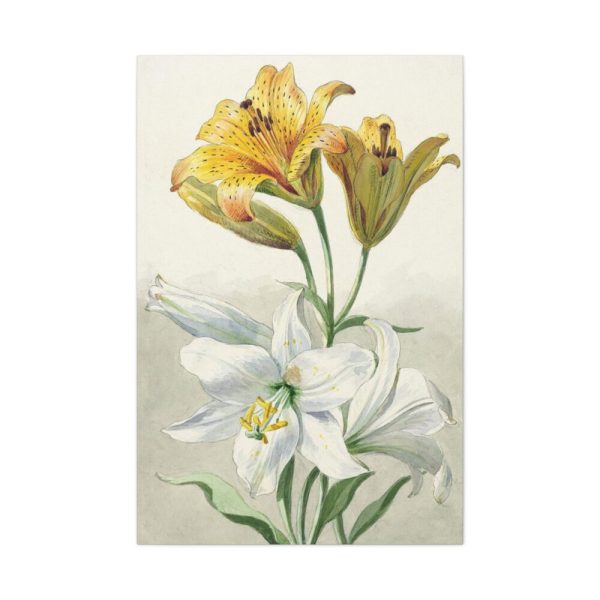 Yellow and White Lilies by William van Leen Standard Canvas
