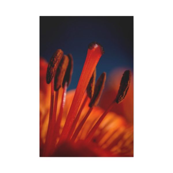 Flower pollen Standard Canvas