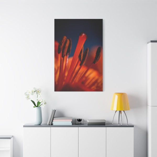 Flower pollen Standard Canvas
