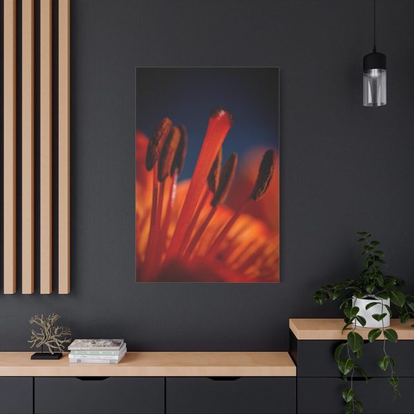 Flower pollen Standard Canvas