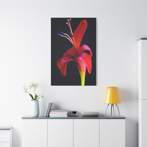 Red Flower Standard Canvas