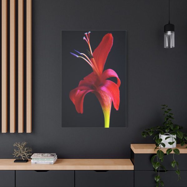 Red Flower Standard Canvas